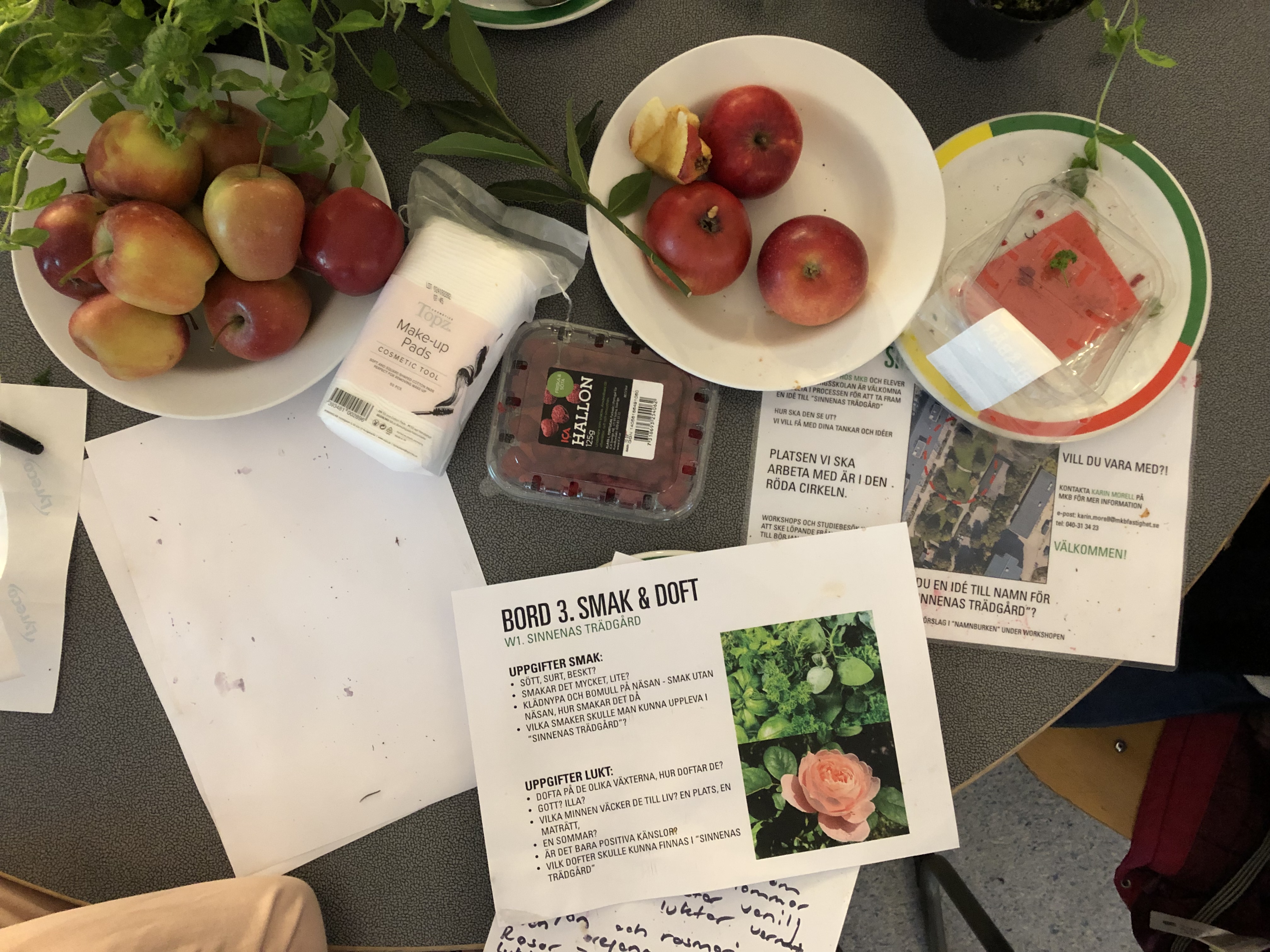 Äpplen, blommor, kryddor och papper på ett bord. Sinnernas trädgård, MKB Fastigheter. 